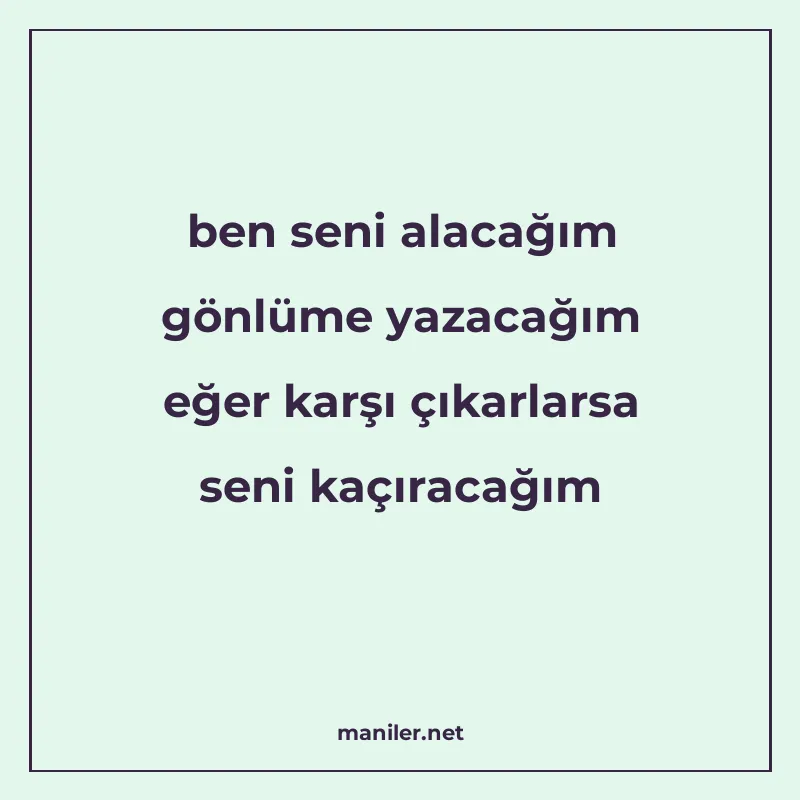 ben seni alacağım gönlüme yazacağım eğer karşı çıkarlarsa se
