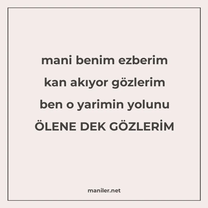 mani benim ezberim kan akıyor gözlerim ben o yarimin yolunu manisi görseli