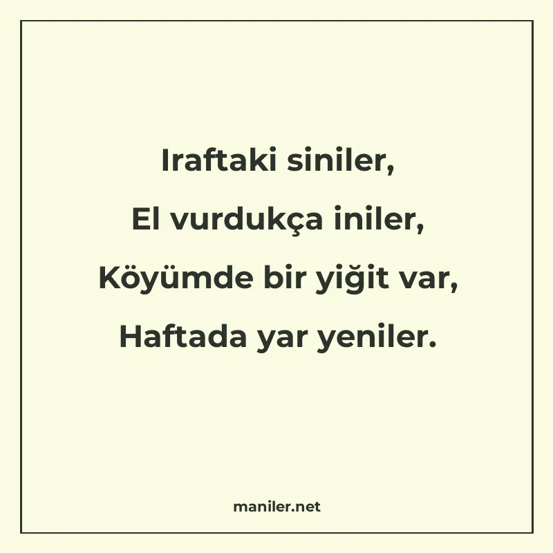 Iraftaki siniler, El vurdukça iniler, Köyümde bir yiğit var manisi görseli