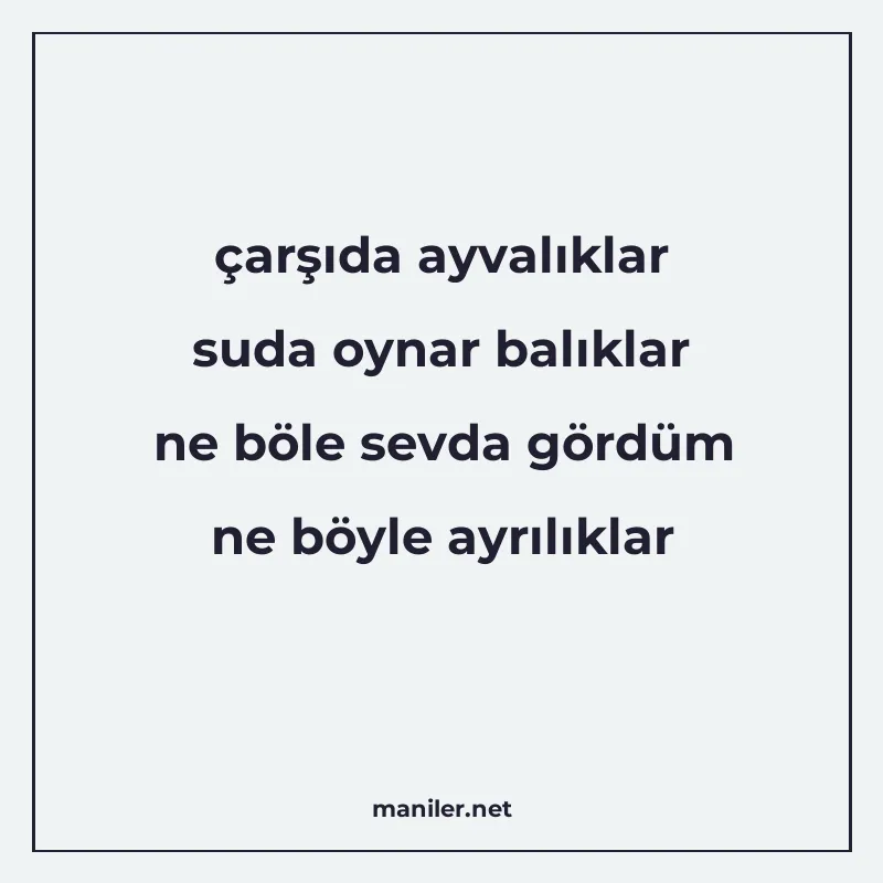 çarşıda ayvalıklar suda oynar balıklar ne böle sevda gördüm manisi görseli