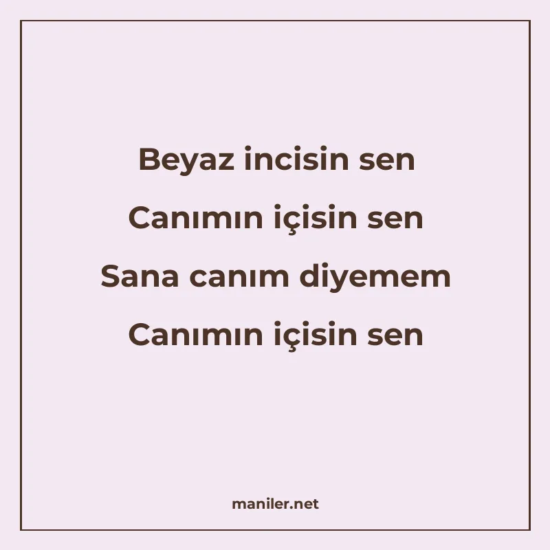 Beyaz incisin sen Canımın içisin sen Sana canım diyemem Canı manisi görseli