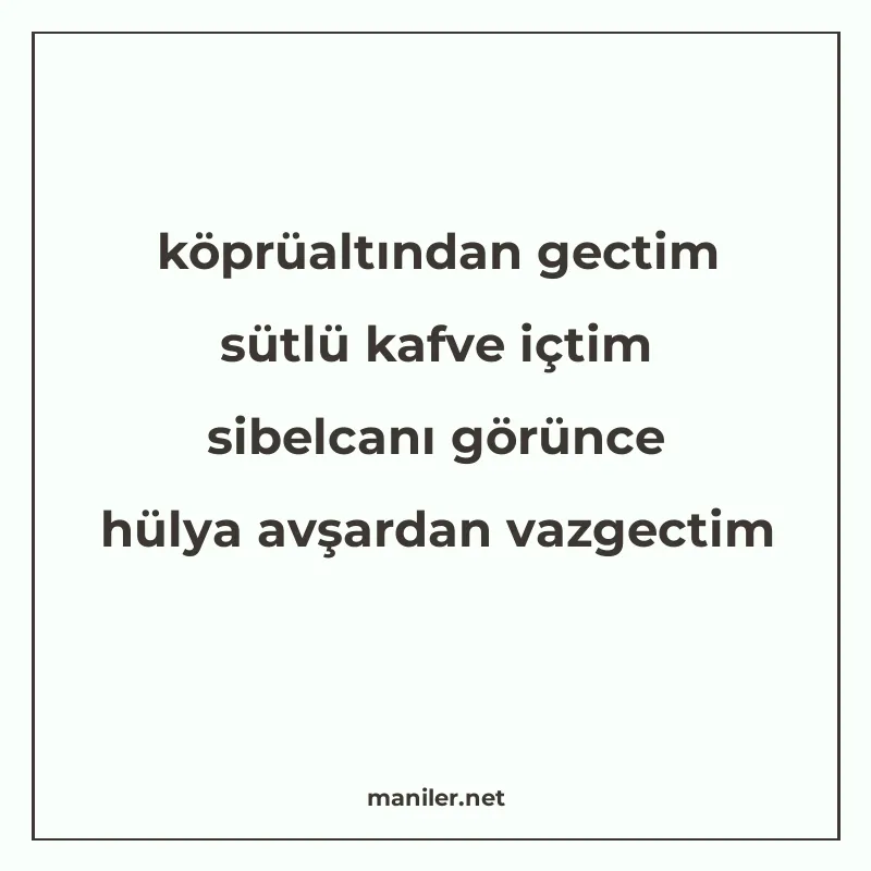 köprüaltından gectim sütlü kafve içtim sibelcanı görünce hül manisi görseli