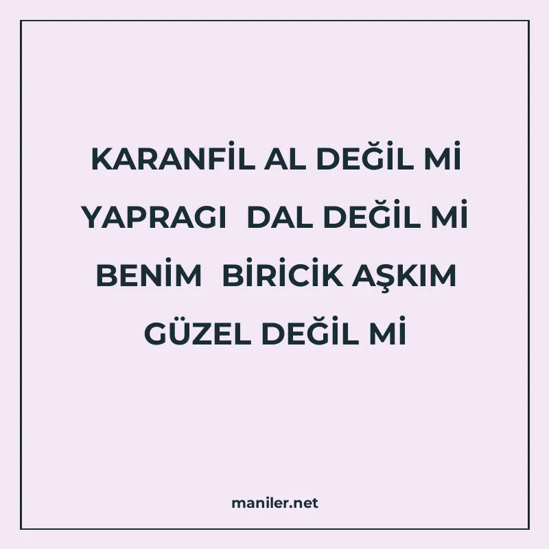 KARANFİL AL DEĞİL Mİ YAPRAGI DAL DEĞİL Mİ BENİM BİRİCİK AŞKI manisi görseli
