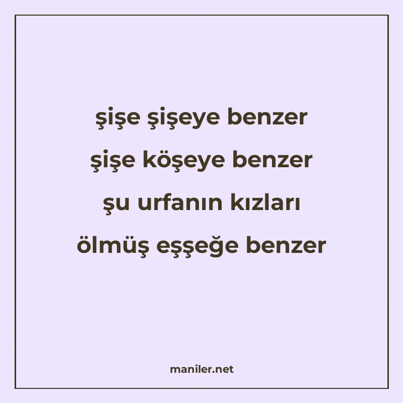 şişe şişeye benzer şişe köşeye benzer şu urfanın kızları ölm manisi görseli