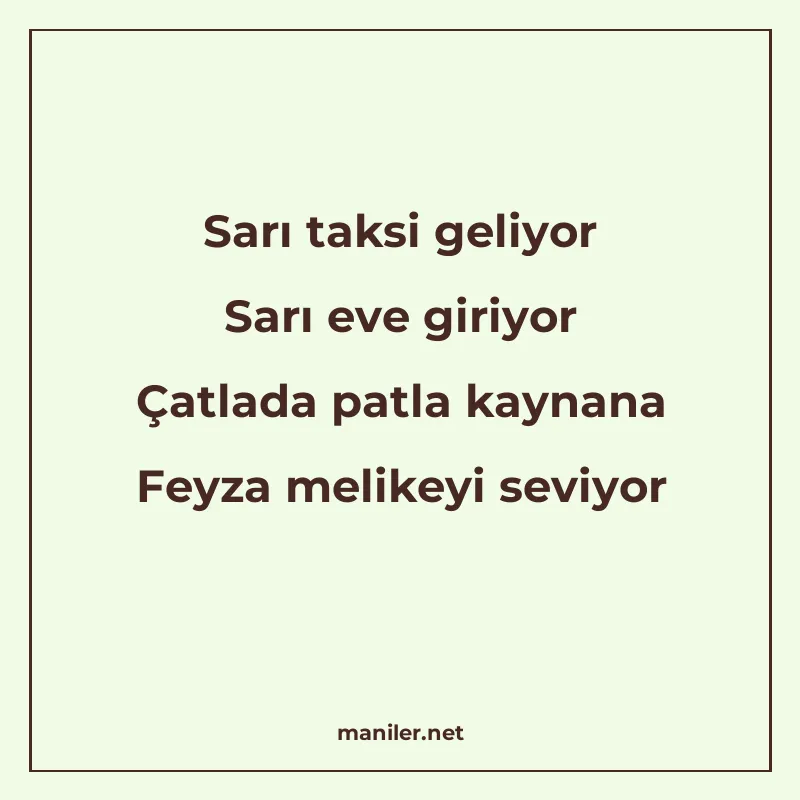 Sarı taksi geliyor Sarı eve giriyor Çatlada patla kaynana Fe manisi görseli