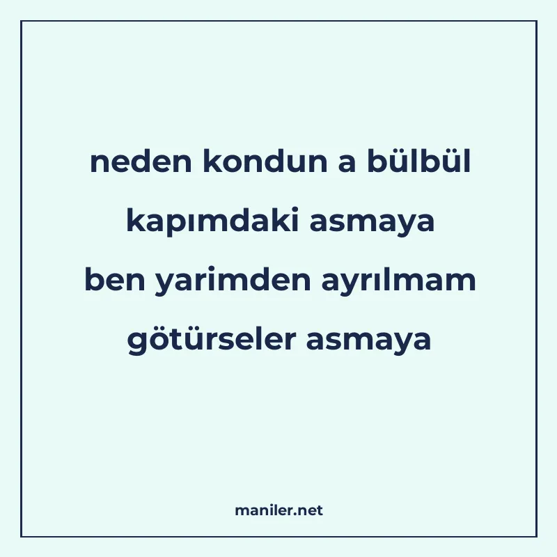 neden kondun a bülbül kapımdaki asmaya ben yarimden ayrılmam manisi görseli