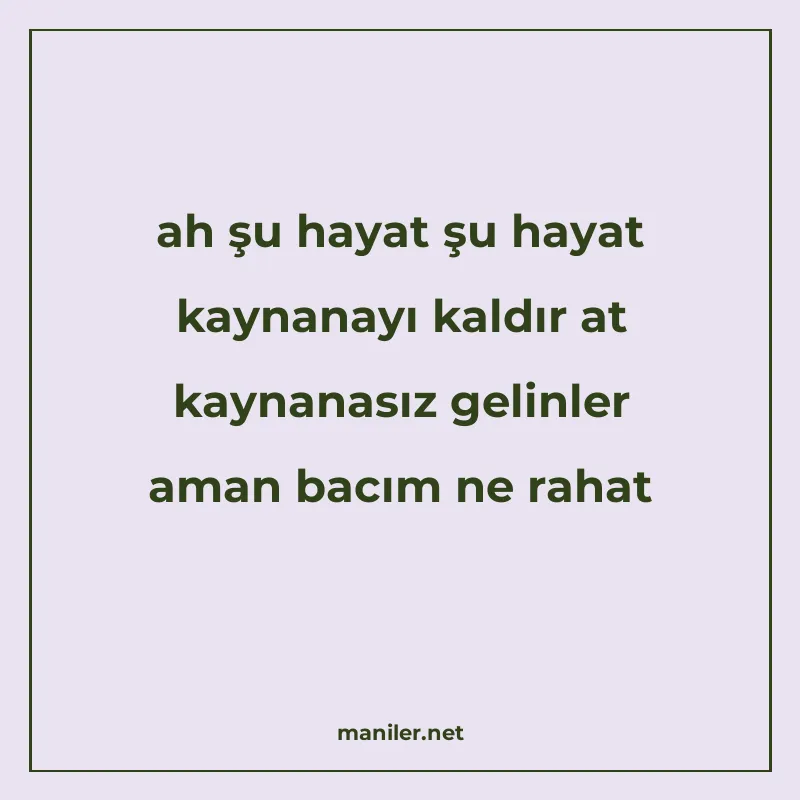 ah şu hayat şu hayat kaynanayı kaldır at kaynanasız gelinler manisi görseli