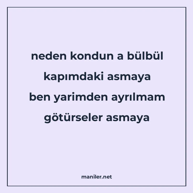 neden kondun a bülbül kapımdaki asmaya ben yarimden ayrılmam manisi görseli