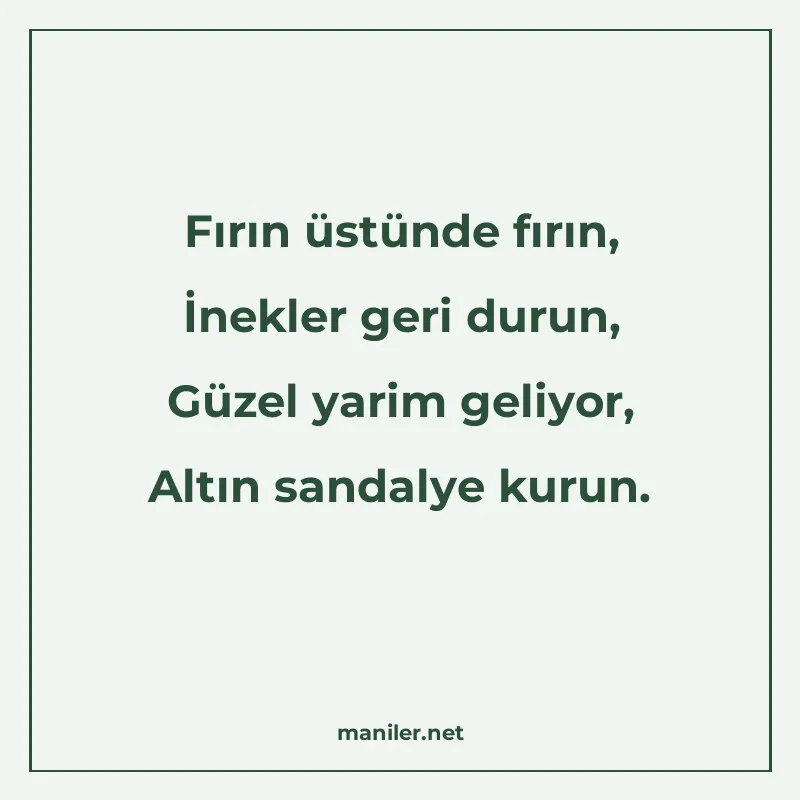 Fırın üstünde fırın, İnekler geri durun, Güzel yarim geliyor manisi görseli
