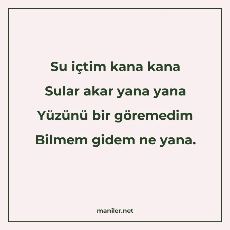 Su içtim kana kana Sular akar yana yana Yüzünü bir göremedim manisi görseli