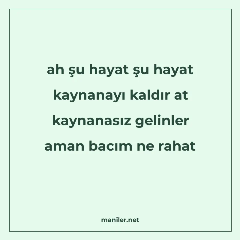 ah şu hayat şu hayat kaynanayı kaldır at kaynanasız gelinler manisi görseli