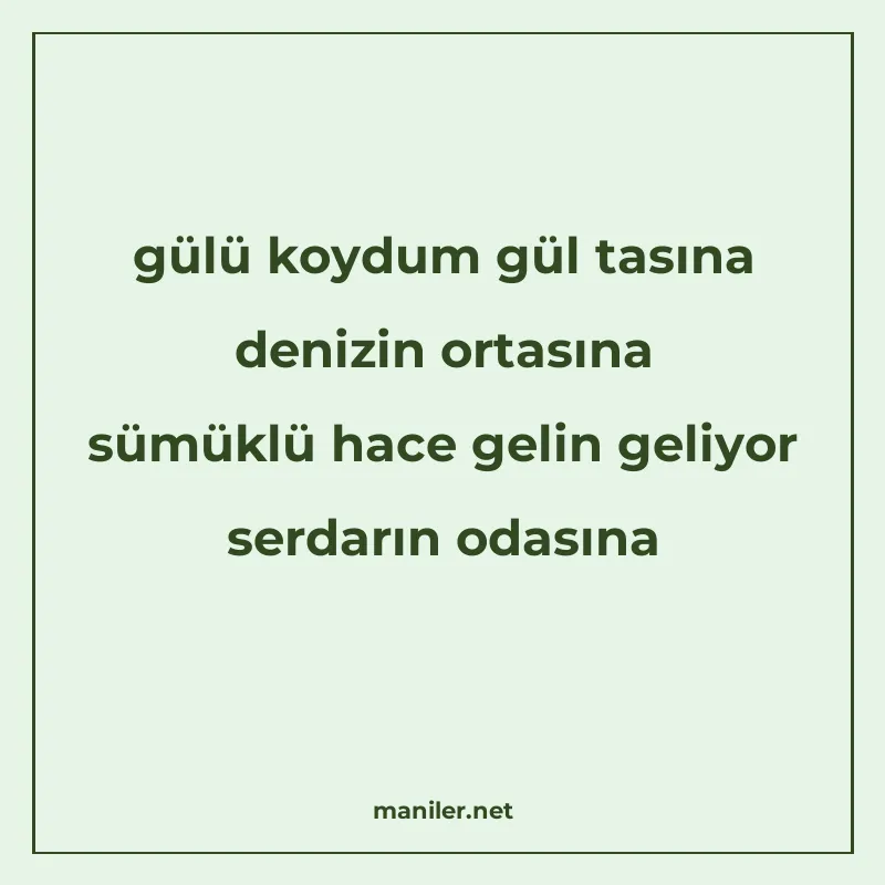 gülü koydum gül tasına denizin ortasına sümüklü hace gelin g manisi görseli