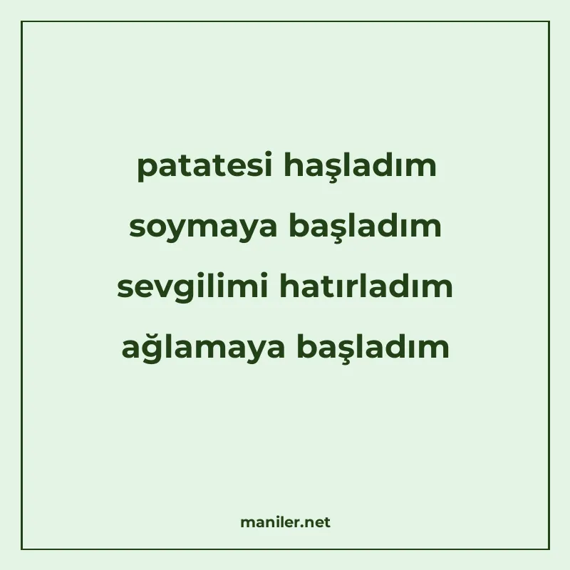 patatesi haşladım soymaya başladım sevgilimi hatırladım ağla manisi görseli