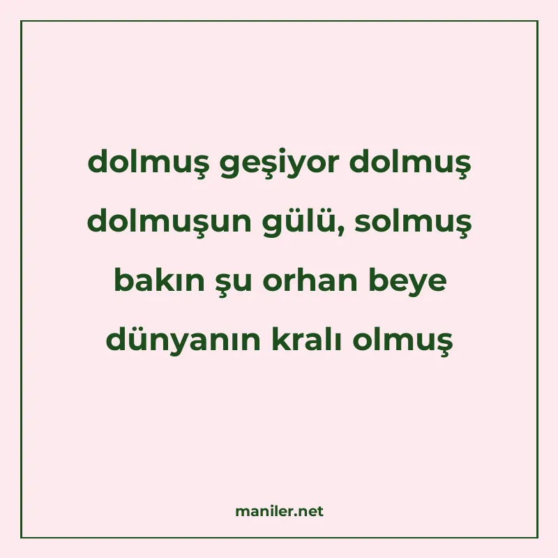 dolmuş geşiyor dolmuş dolmuşun gülü, solmuş bakın şu orhan b manisi görseli
