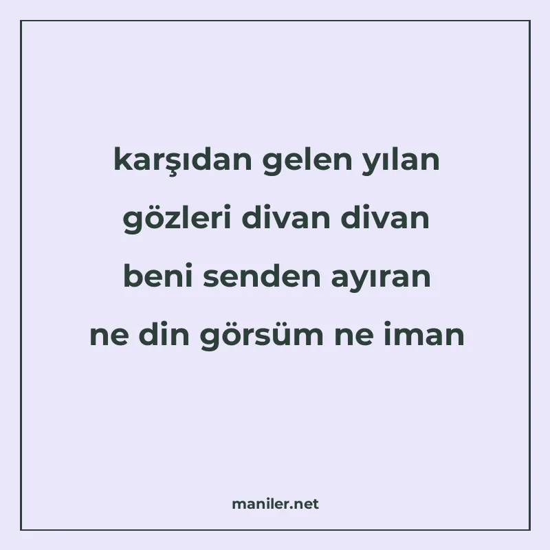 karşıdan gelen yılan gözleri divan divan beni senden ayıran manisi görseli