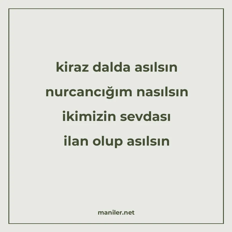 kiraz dalda asılsın nurcancığım nasılsın ikimizin sevdası il manisi görseli